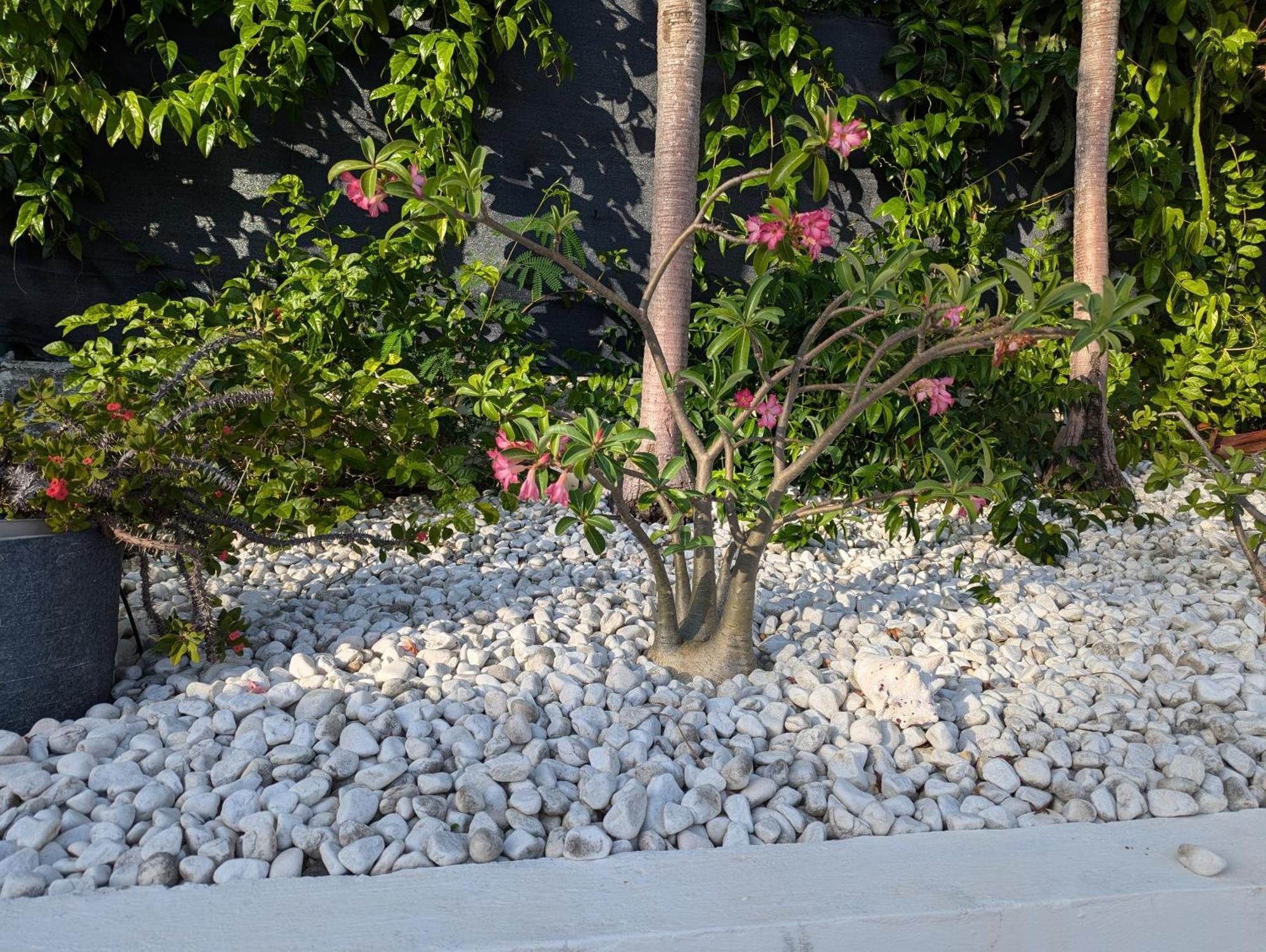 Villa Z'Epices-Marina C0Nciergerie サン・フランソワ エクステリア 写真